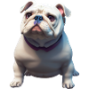 Old English Bulldog