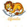 Offizielles Schlafshirt Löwe