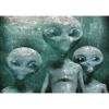 Aliens in the Mist