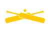 Cricket Season Cricket Bat