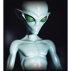 Evil Alien