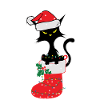 Humour Drôle Noël