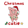 Pig Christmas Pigs Christmas Cutie
