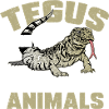 Tegu Lizard Reptile Herpetologist