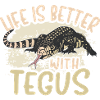 Tegu Lizard Reptile Herpetologist