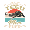 Lézard Tegu Herpétologiste