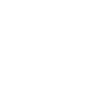 Job - Detective Dad