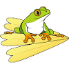 Frog with petals
