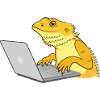 Lizard coding