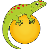 Gecko and orange