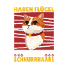 Katze Katzenpapa