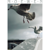 Möwen