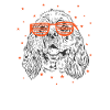 Cocker spaniel with cool sunglasses