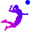 Volleyball Women's Volleyball Volley