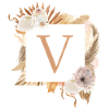 Customizable design, monogram, letter V