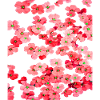 Fleurs rouges