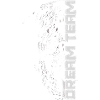 Rottweiler Dream Team