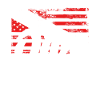 Dive under American flag