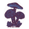 Champignons Linogravure