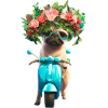 E-scooter pug with flower wreath