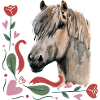 Pferde