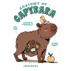 Anatomie d’un Capybara Sweet Capybara