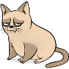 Gato gruñón