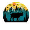 Sunset bison