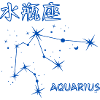 Segno zodiacale dell'Acquario Costellazione e segno dell'Acquario