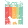 Dog Chesapeake Bay Retriever Pet