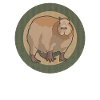 Capybara Capybaras Gift