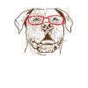 Bulldog with cool sunglasses dog