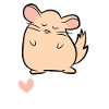Chinchilla - I love Chinchilla