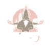 Opossum possum animal