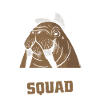 Walrus Walrus Animal Ocean