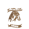 Walrus Walrus Animal Ocean