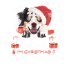 Australian Shepherd Weihnachtsmarkt