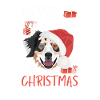 Berger australien Joyeux Noël