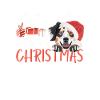 Berger australien Joyeux Noël