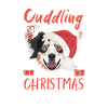 Berger australien Joyeux Noël