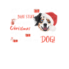 Berger australien Joyeux Noël