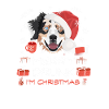 Australian Shepherd Weihnachtsmarkt