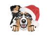 Australian Shepherd Merry Christmas