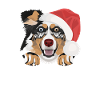 Australian Shepherd Merry Christmas