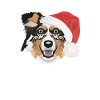 Berger australien Joyeux Noël
