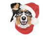 Australian Shepherd Merry Christmas