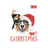 Australian Shepherd Merry Christmas