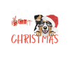 Australian Shepherd Merry Christmas