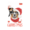 Australian Shepherd Merry Christmas