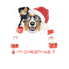 Australian Shepherd Weihnachtsmarkt